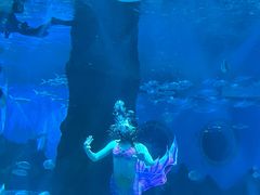 -北戴河圣蓝海洋公园