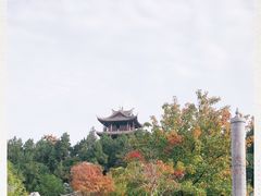 -花洲书院