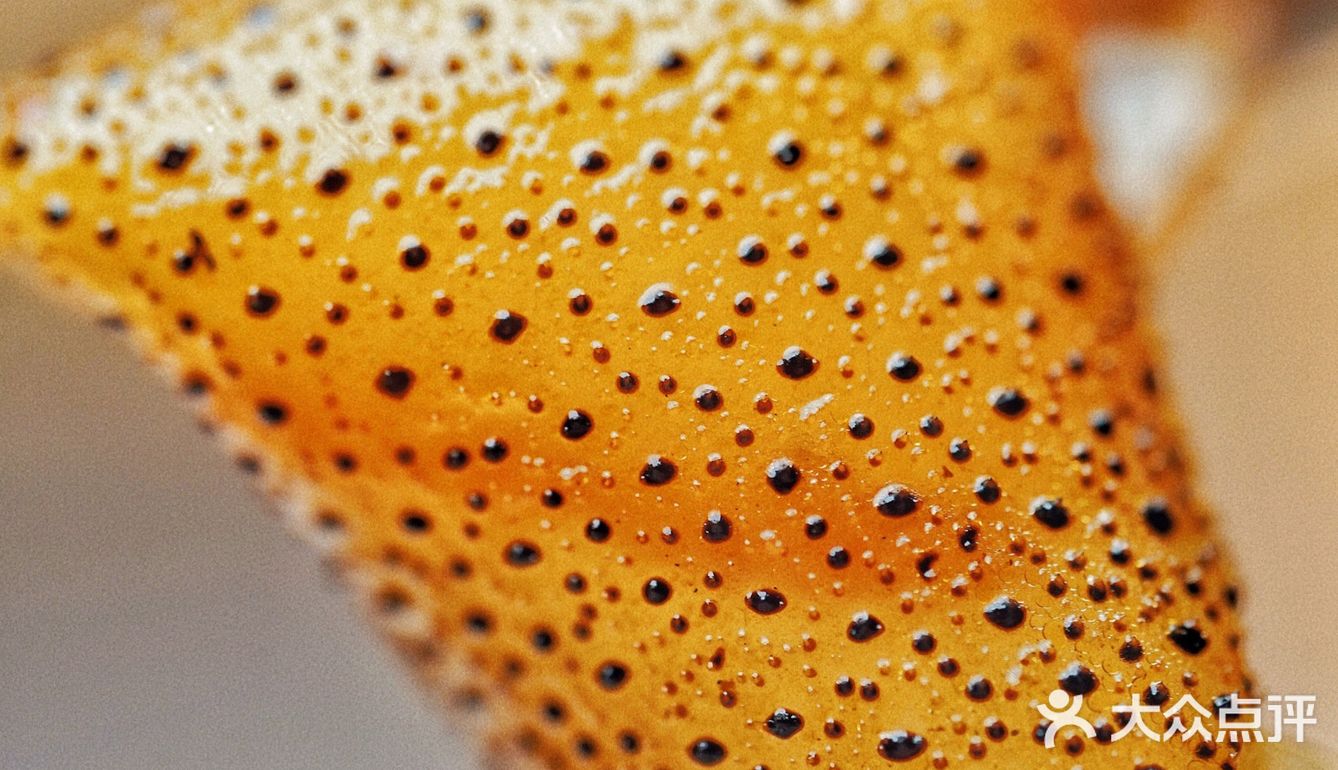 在这家小馆子吃饭，就像进了【湛江美食博物馆】🉐