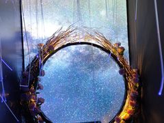 -星空失恋博物馆(北京路旗舰店)