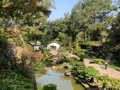 -南山植物园