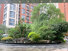 -君悦酒店·大堂酒吧·高空下午茶·暮色微醺
