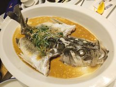 -泰河谷·豆捞