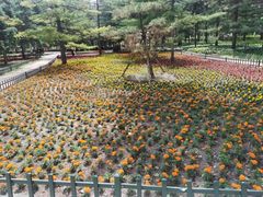 -黑龙江省森林植物园