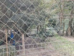 -梅州瑞山生态旅游度假村