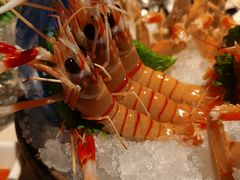 新西兰鳌虾-Mr·Fish鱼鲜生海鲜放题(银泰in99店)