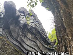 -梭布垭石林景区