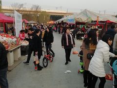 -秀丽东方