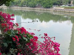 -望江楼公园