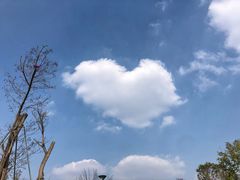 -桂溪生态公园