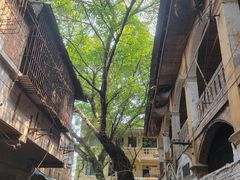 -龙泉洞(沙坪坝区)