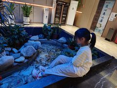 -盛福楼·惠山宴(盛岸路店)