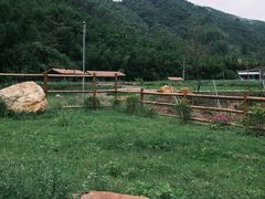 -下河湾农家乐
