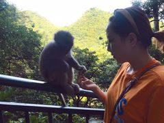 -黔灵山公园-南门售票处