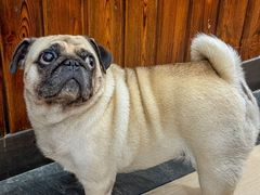 -临江宴餐厅·野生鱼·山里菜(富春江店)