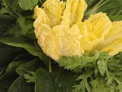 -草原传奇鲜羊火锅(桥北店)