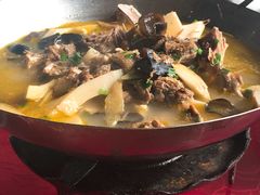 -明珠湖天鹅苑·农家菜馆