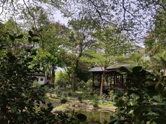 -深圳国际园林花卉博览园