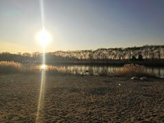 -大兴滨河森林公园