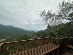 -三亚亚龙湾人间天堂鸟巢度假村