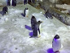 -成都浩海立方海洋公园