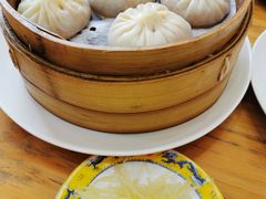 -绿园春早茶