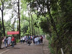 -重庆抗战遗址博物馆