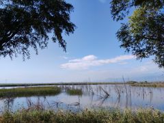 -野鸭湖国家湿地公园