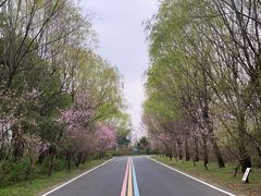-同里国家湿地公园