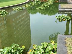 -叶家花园