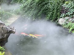 -广富林宰相府酒店·水云间