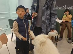 -安格丽娜·狗咖·猫咖羊驼咖(春熙路百盛商场店)