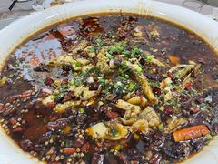 来凤鱼-瓦房兔(璧山店)