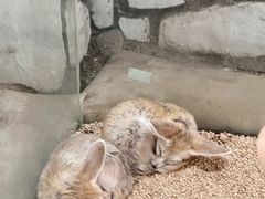 -海合安武汉极地海洋公园