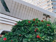 -万达广场(东莞厚街店)