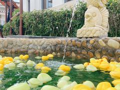 -余姚阳明温泉山庄