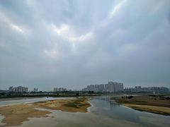 -红树林天天赶海
