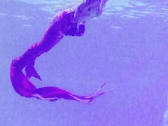 -常州海昌海洋探索馆