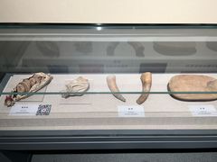 -巴音郭楞蒙古自治州博物馆