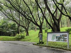 -云溪植物园