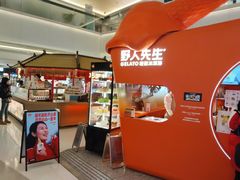 -野人先生现做冰淇淋(北京王府井东方新天地店)