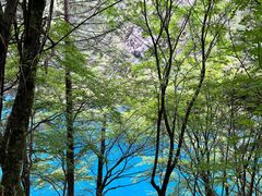 -叠溪松坪沟景区