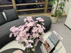 -JNK皮肤管理中心