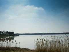 android_upload_pic-上海海湾国家森林公园