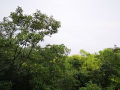 -径山寺