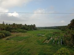 -海南铜鼓岭景区