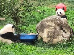 -西安秦岭野生动物园