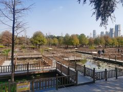 -五缘湾湿地公园