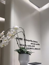 -奥斯芬·欧系贵族SPA