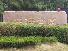 -林海公园